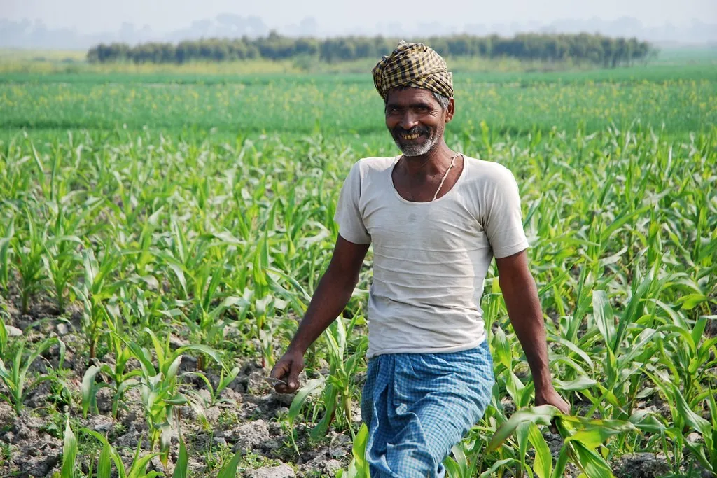 PM-Kisan: e-KYC કરાવ્યા છતાં નથી આવ્યા 2000 રૂપિયા? 3 PM Kisan Farmer ID Registration 1.png