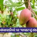 south gujarat mango crop advisory 2026 1