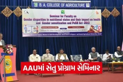 AAU Setu Programme Gender Equality Seminar