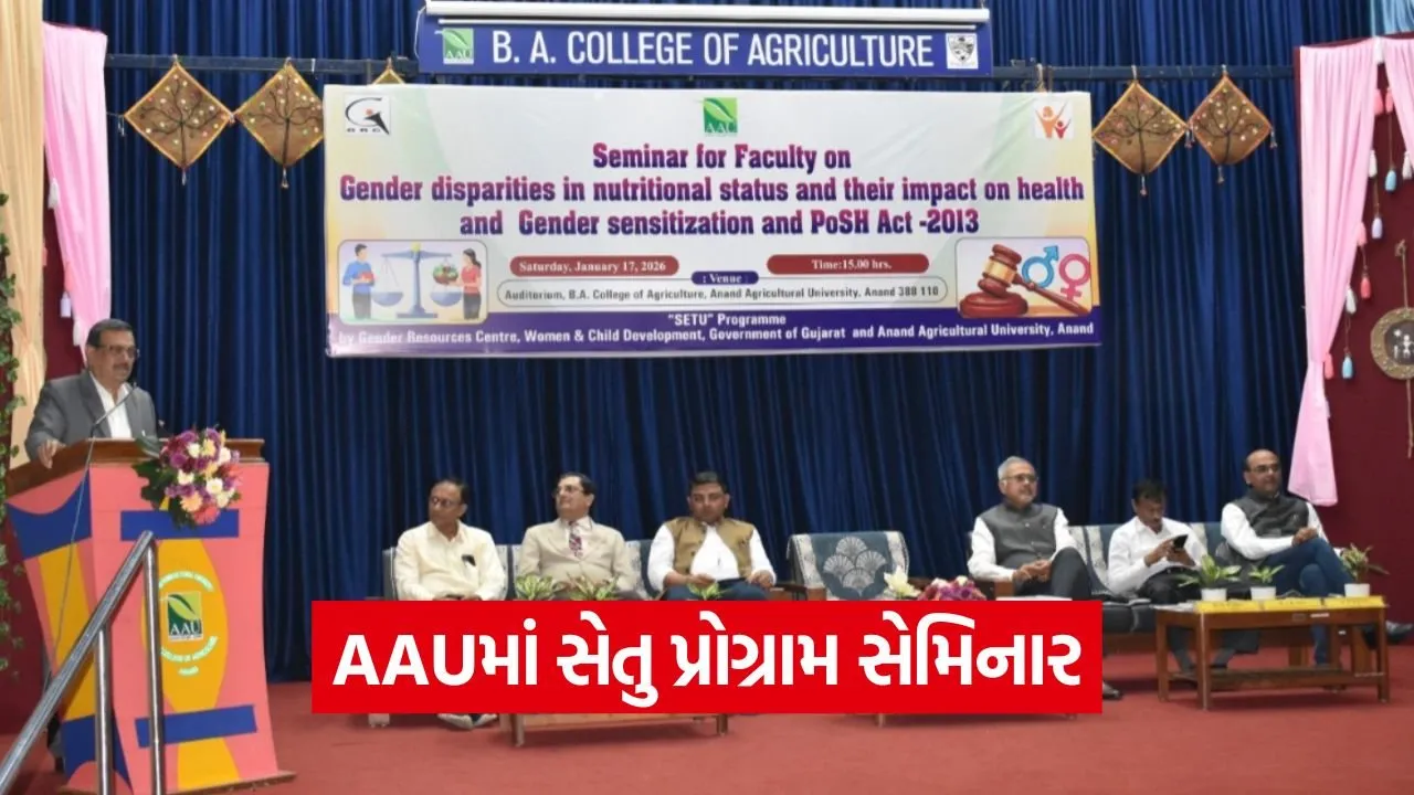 AAU Setu Programme Gender Equality Seminar.jpg