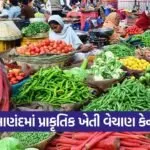 Anand Natural Farming Direct Sale Initiative 1