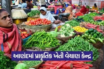 Anand Natural Farming Direct Sale Initiative 1