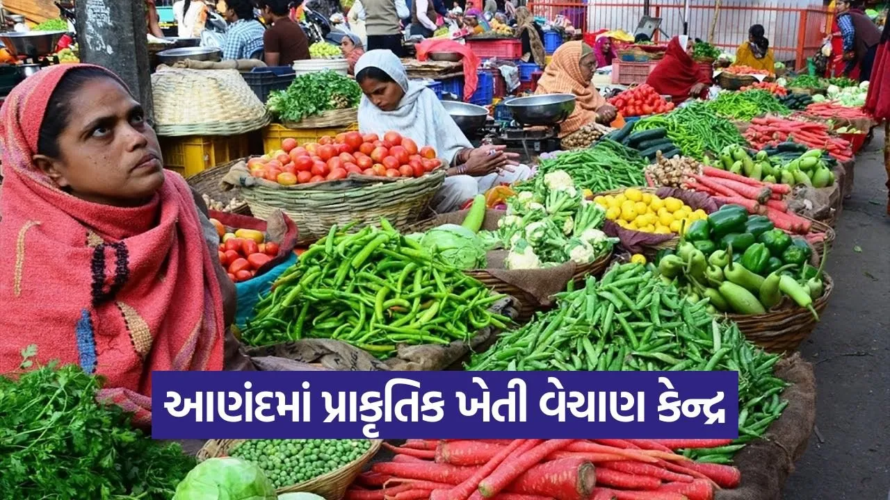 Anand Natural Farming Direct Sale Initiative 1.jpg