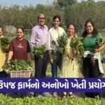 Rent a Farm Vadodara Organic Farming Concept