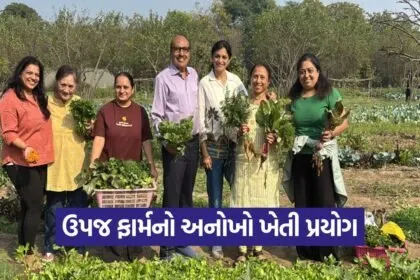 Rent a Farm Vadodara Organic Farming Concept