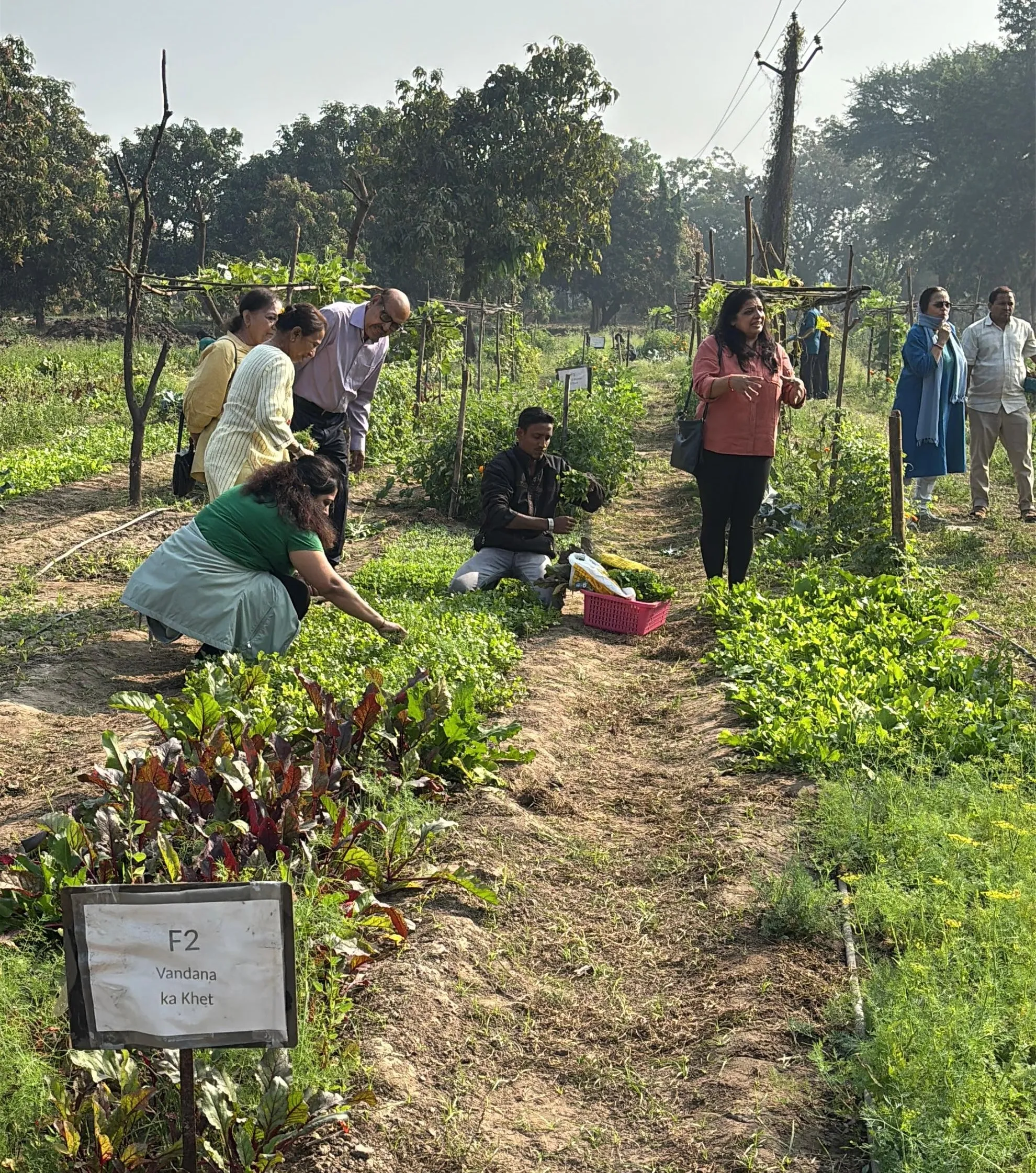જમીન વગર પણ ખેતી શક્ય: વડોદરાના સાવલીમાં ‘Rent a Farm’ કોન્સેપ્ટથી શહેરવાસીઓને ખેડૂત બનવાનો અનોખો અવસર 2 Rent a Farm Vadodara Organic Farming Concept.png