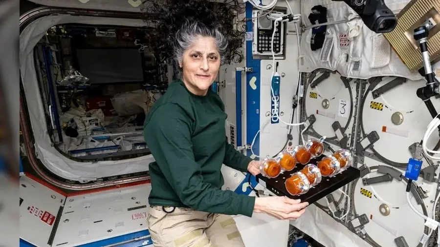 NASA માંથી સુનિતા વિલિયમ્સની નિવૃત્તિ: 27 વર્ષની કારકિર્દીમાં સ્પેસમાં વિતાવ્યા વર્ષો, જાણો તેમની યાદગાર સફર 3 sunita willemans1.jpg