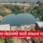 Dang Check Dam Irrigation Project 2026 1
