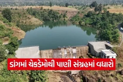 Dang Check Dam Irrigation Project 2026 1