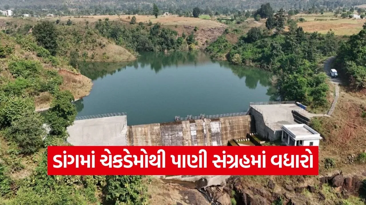 Dang Check Dam Irrigation Project 2026 1.jpg