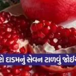 dharmishtha 1 23