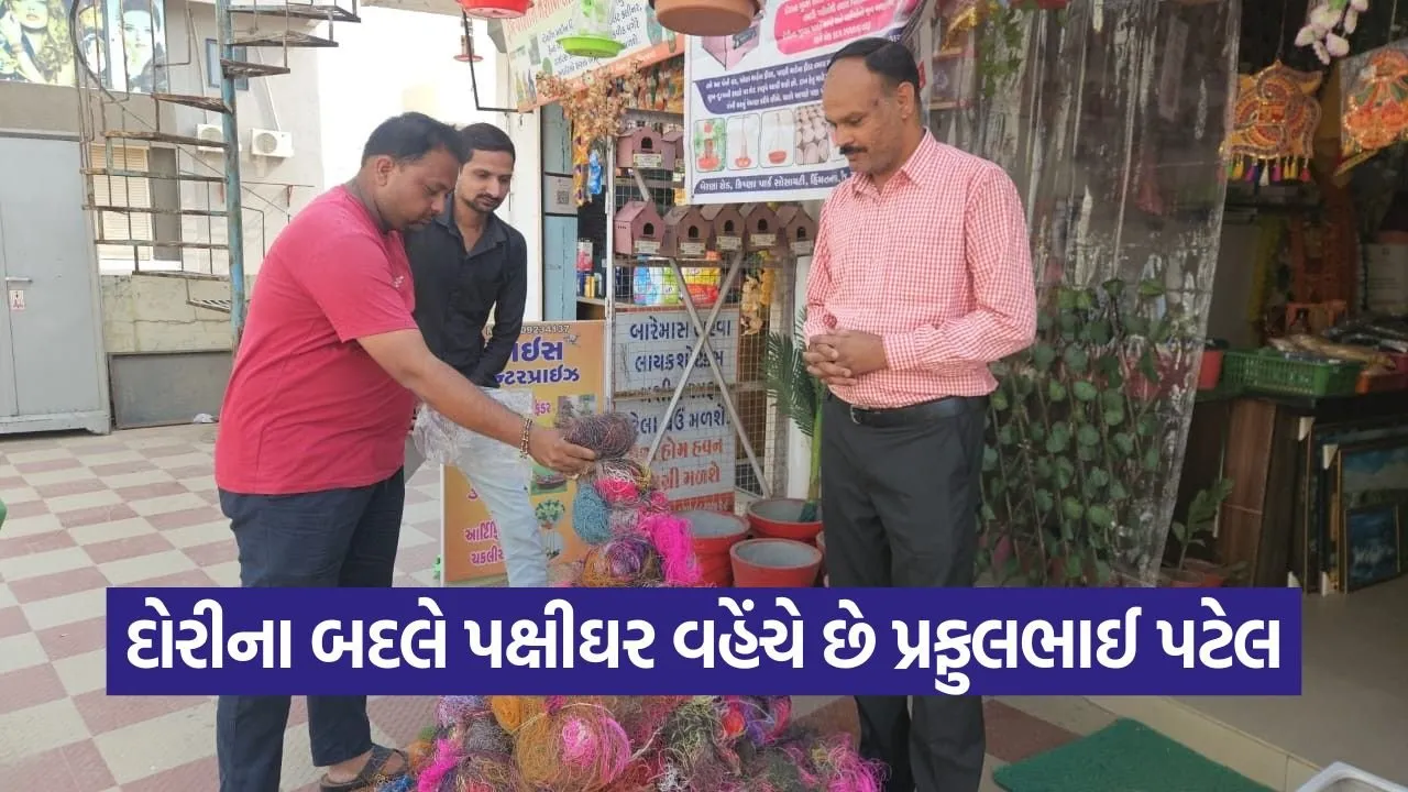 Himmatnagar Bird Protection Kite String Campaign.jpg