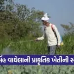 aravalli natural farming success story