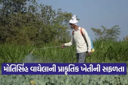aravalli natural farming success story