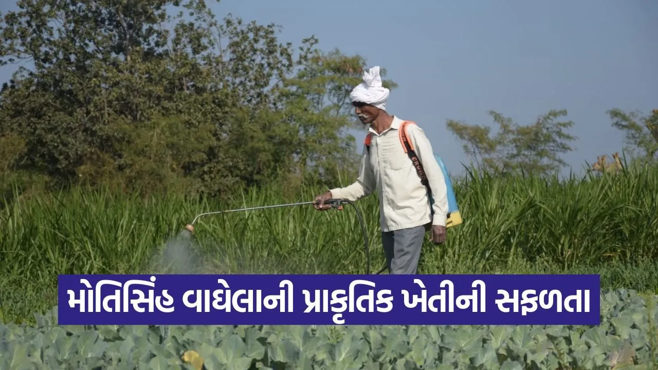 aravalli natural farming success story.jpg