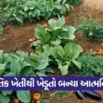 natural farming farmer self reliance india 1