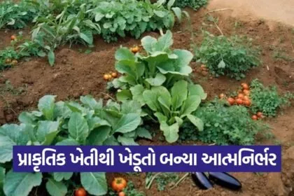 natural farming farmer self reliance india 1
