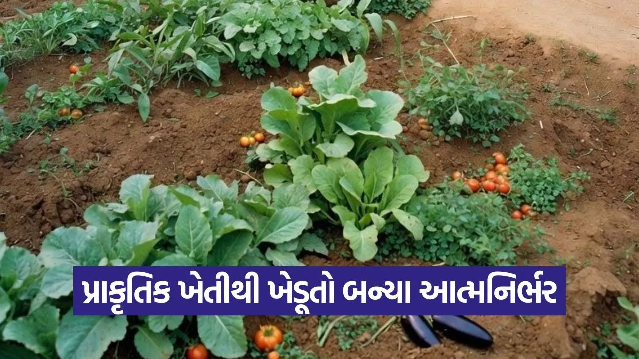 natural farming farmer self reliance india 1.jpg