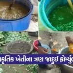 jeevamrut beejamrut ghanjeevamrut natural farming 1