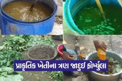 jeevamrut beejamrut ghanjeevamrut natural farming 1