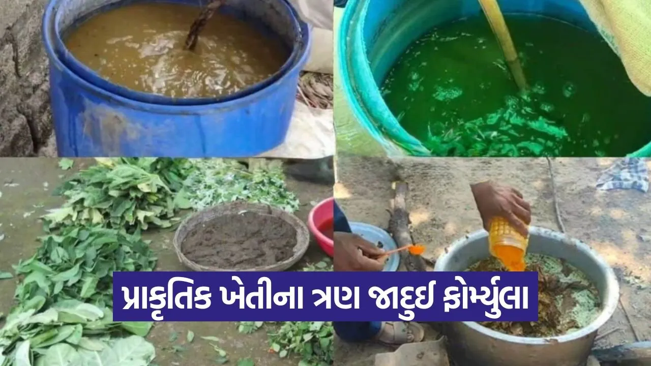 jeevamrut beejamrut ghanjeevamrut natural farming 1.jpg