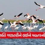 nalsarovar thol bird census 2026 1