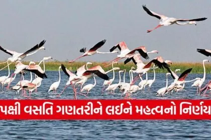nalsarovar thol bird census 2026 1