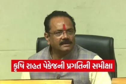 gujarat farmers rain relief assistance 2026