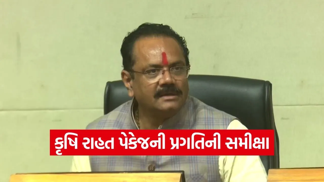 gujarat farmers rain relief assistance 2026.jpg