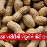 gujarat kharif crops msp procurement 2026