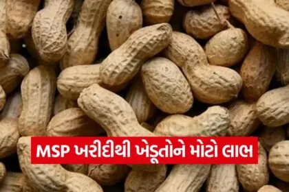gujarat kharif crops msp procurement 2026