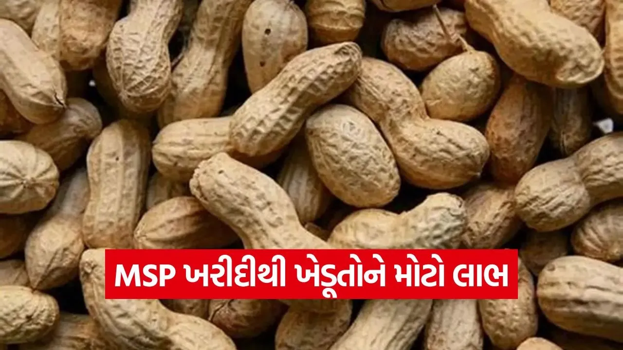 gujarat kharif crops msp procurement 2026.jpg