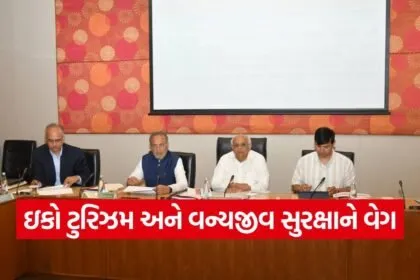 Gujarat State Wildlife Board Meeting 2026 1