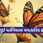 Feng Shui Butterfly