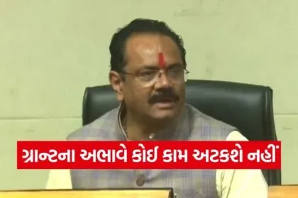 Gujarat CM Bhupendra Patel Development Work Quality Grant Instructions 2026