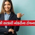 Government Job after BCA