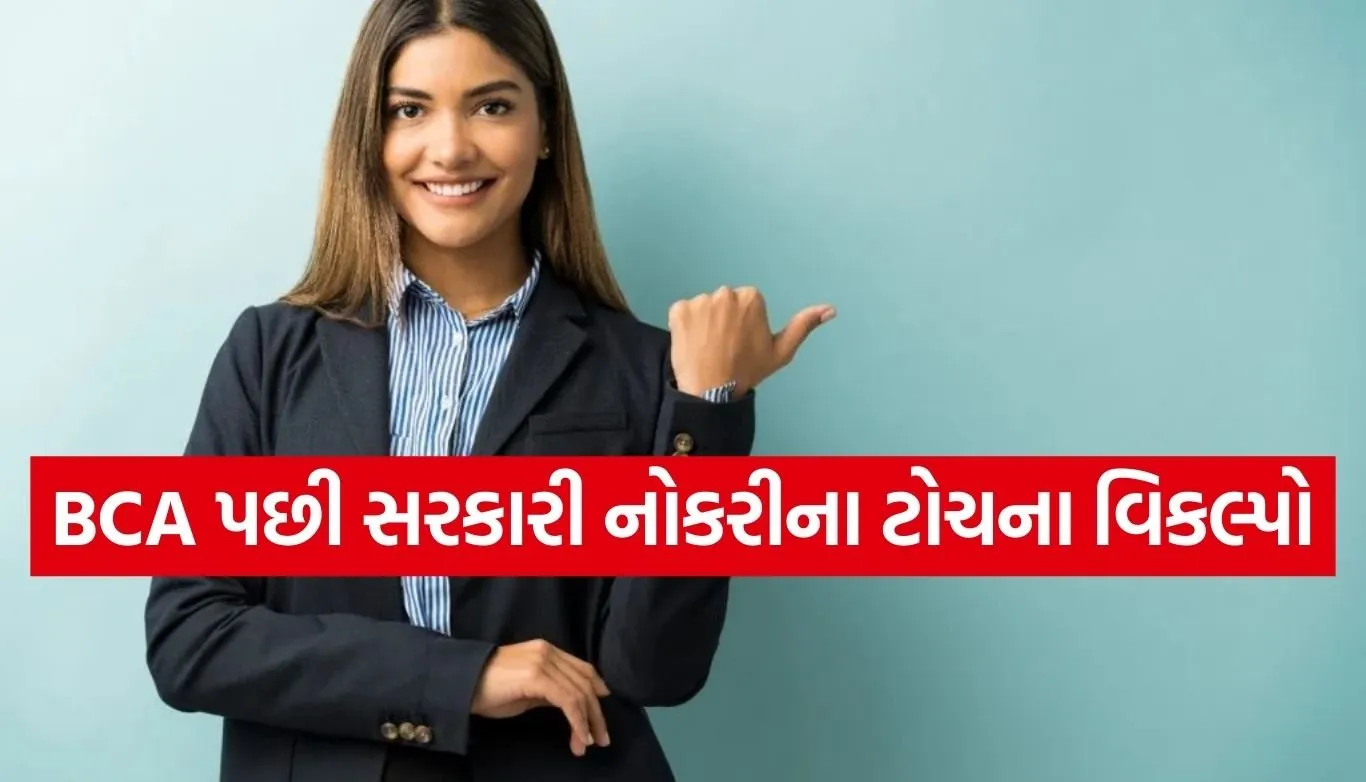 Government Job after BCA