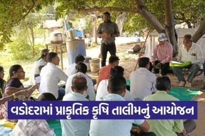 Dungaripura model farm natural farming training