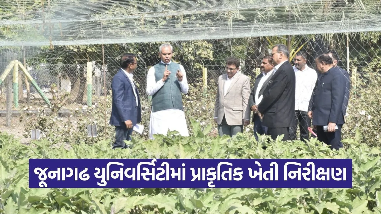 Junagadh Agricultural University natural farming model farm visit.jpg