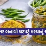 Zero Oil Chilli Pickle