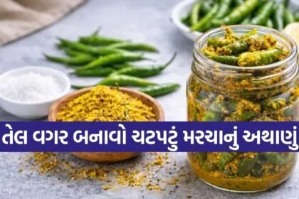 Zero Oil Chilli Pickle