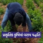 Natural Farming Vaarap Technique Gujarat 1