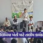Mandvi NMEO Oilseeds Farmer Training Program