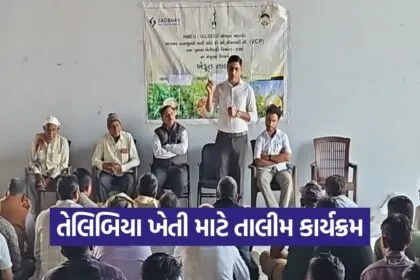 Mandvi NMEO Oilseeds Farmer Training Program