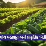 Five Elements Natural Farming Concept 1