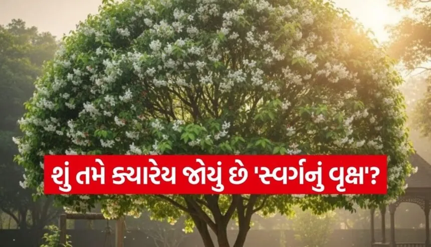 Tree of Heaven