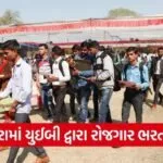 Vadodara UEB Employment Fair 2026 1
