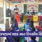 dang government science college ahwa nss camp 2025