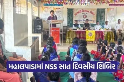 dang government science college ahwa nss camp 2025