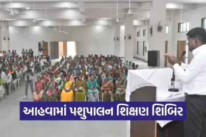 dang district animal husbandry training camp 2025 1